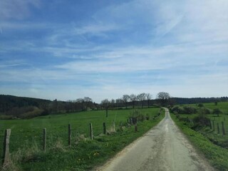 Bauernhof Houffalize Umgebung 26