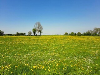 Type de propriété : Ferme Houffalize Environnement 31