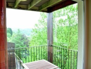 Comfortabel appartement in de Ardennen met uitzicht - bouillon - image1