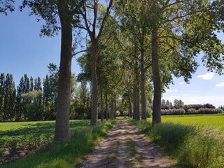 Ferienhaus Oostkamp Umgebung 19