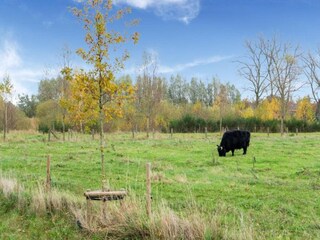 Ferienhaus Oostkamp Umgebung 20
