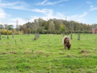 Vakantiehuis Oostkamp Omgeving 24