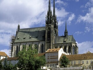 Ferienhaus Nedvedice Umgebung 25