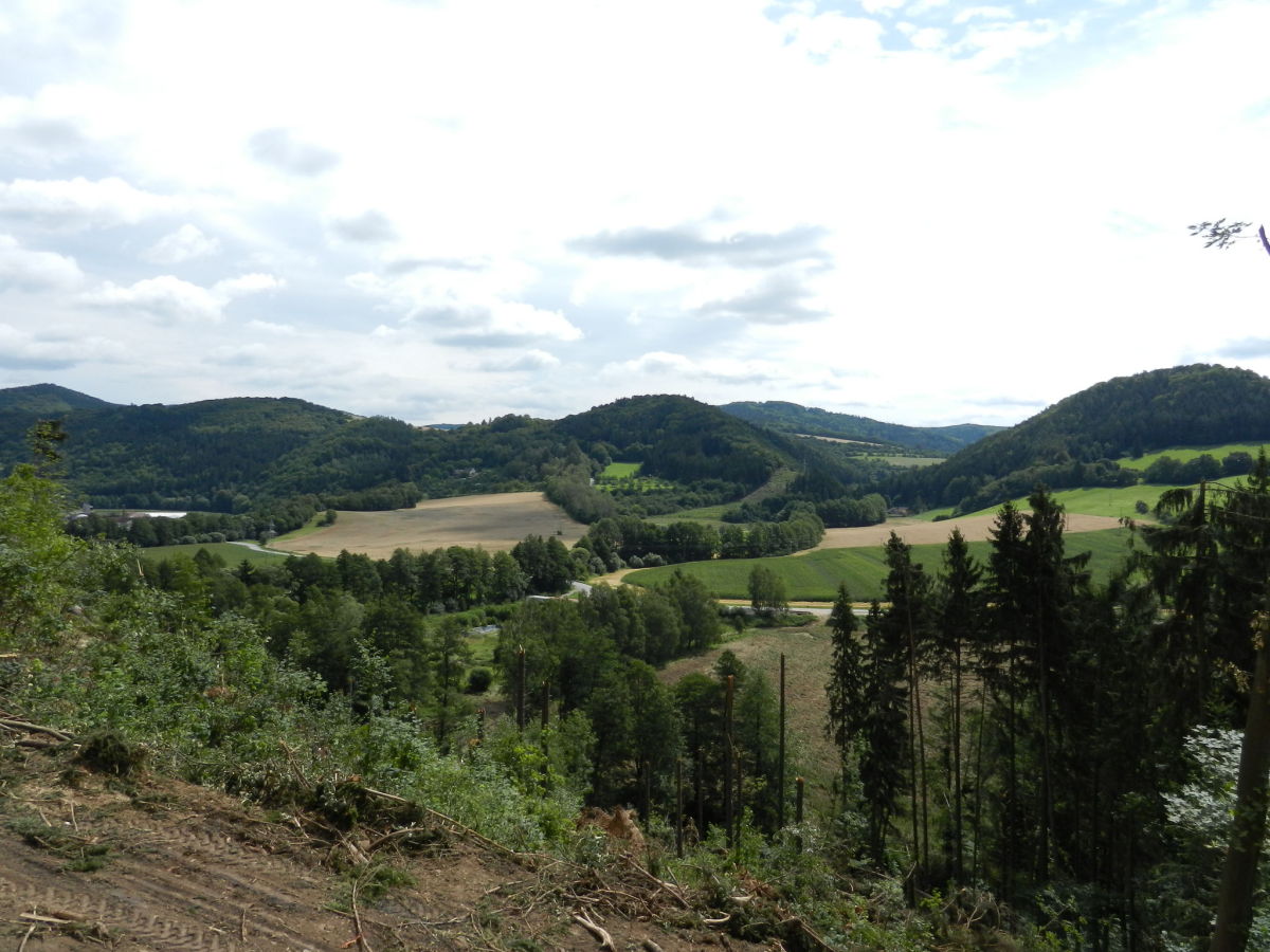 Ferienhaus Nedvedice Außenaufnahme 3