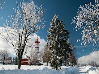 Ferienhaus Turnov Außenaufnahme 9