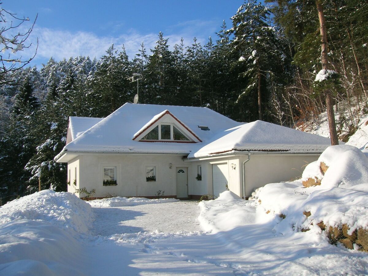 Ferienhaus Turnov Außenaufnahme 4