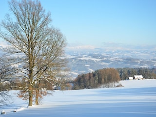 Ferienhaus Turnov Umgebung 34