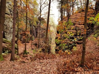 Apartment Weißig Environment 42