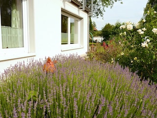 Appartement Bad Pyrmont Buitenaudio-opname 5