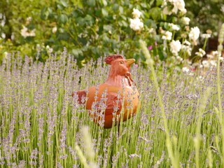 Apartment Bad Pyrmont  35