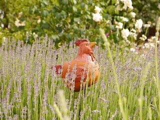 Appartement Bad Pyrmont  35