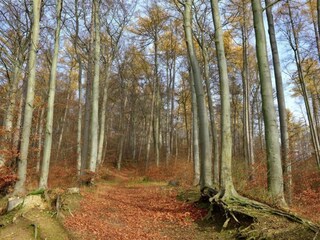 Appartement Bad Pyrmont Omgeving 23