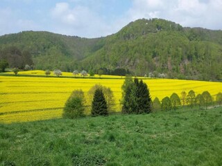 Appartement Bad Pyrmont Omgeving 30