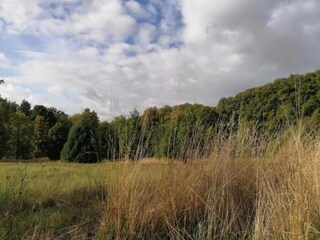 Appartement Bad Pyrmont Omgeving 23