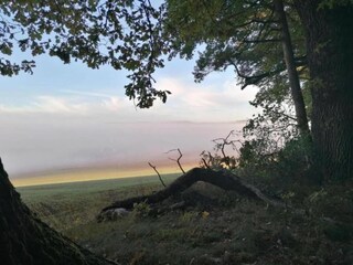 Appartement Bad Pyrmont Omgeving 32