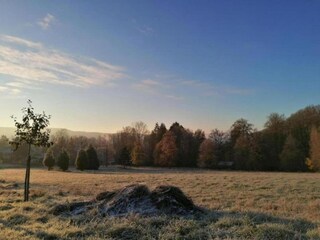 Appartamento Bad Pyrmont Ambiente 22