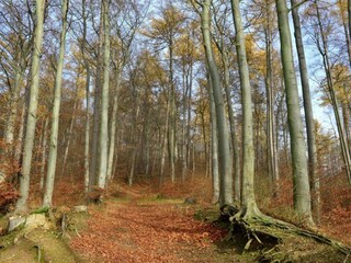 Appartamento Bad Pyrmont Ambiente 24