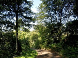 Apartamento Bad Pyrmont Entorno 27