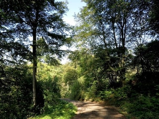 Apartment Bad Pyrmont Umgebung 27