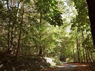 Appartement Bad Pyrmont Omgeving 28