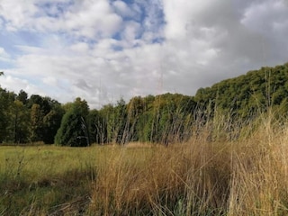 Apartment Bad Pyrmont Umgebung 29