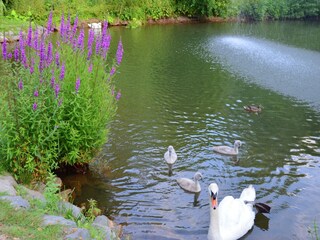 Appartement Frankenau Omgeving 23
