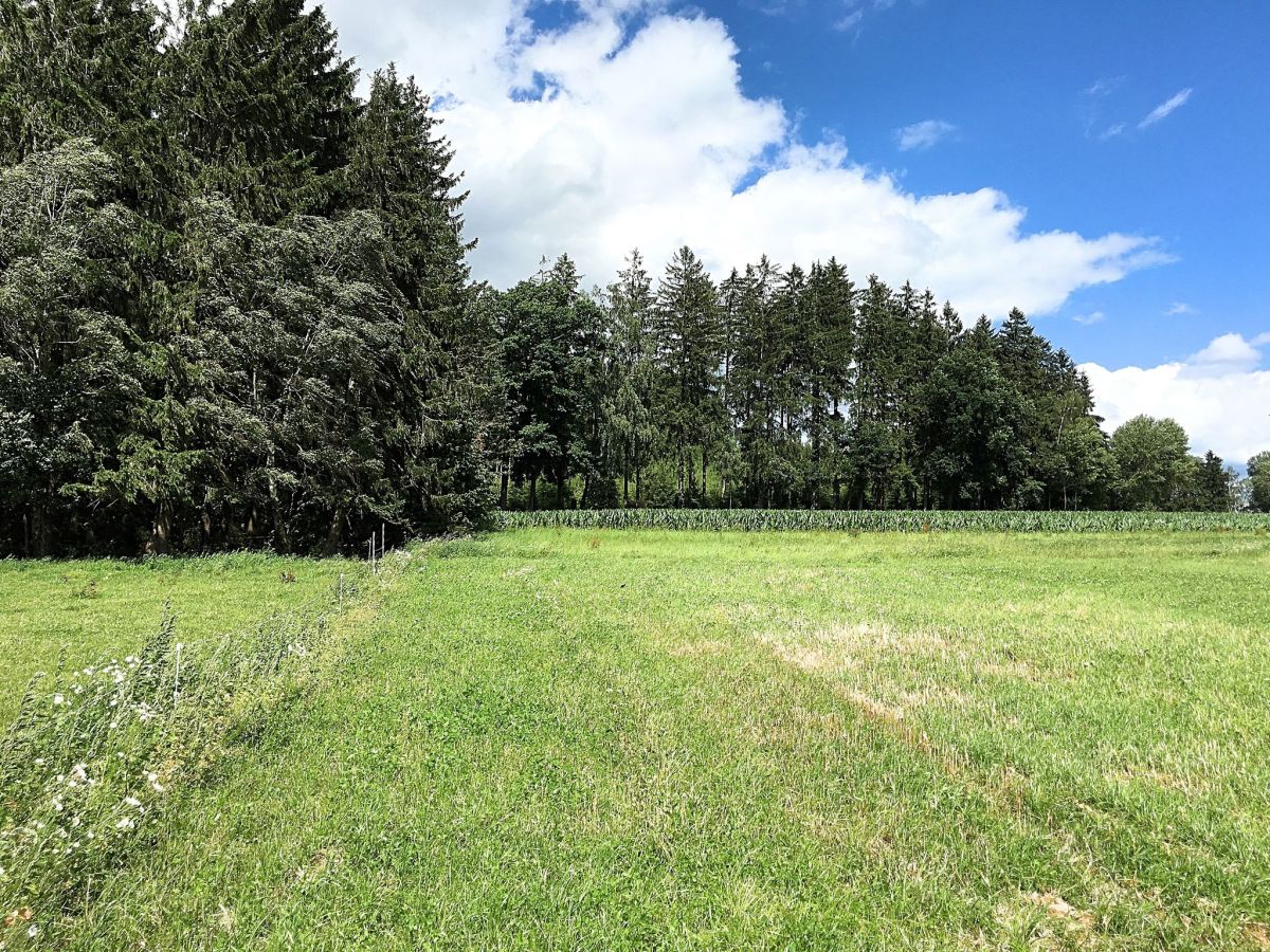 Apartment Tiefenbach in der Oberpfalz Außenaufnahme 4