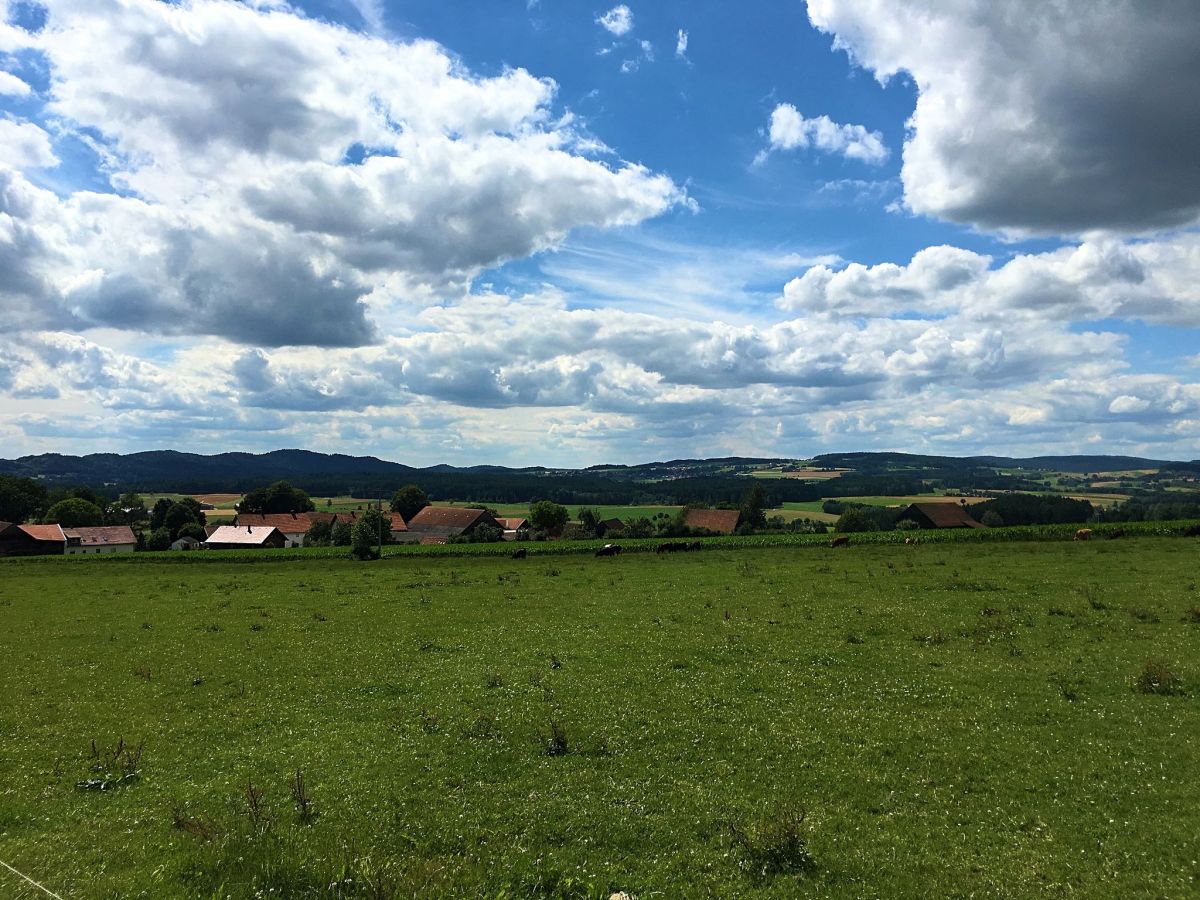 Apartment Tiefenbach in der Oberpfalz Umgebung 30