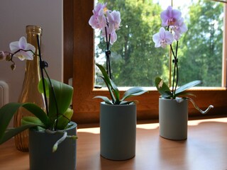 Apartment Eslarn  31