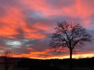 Apartment Eslarn Environment 23