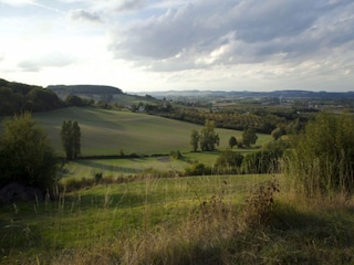 Castillo Bourg-de-Visa Entorno 33