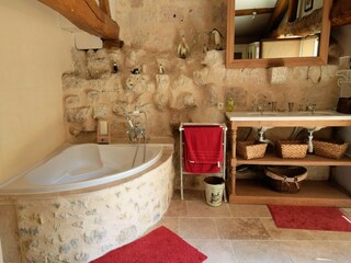 Castello Bourg-de-Visa Caratteristiche 30