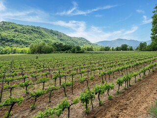 Vakantiehuis Les Vans Omgeving 32