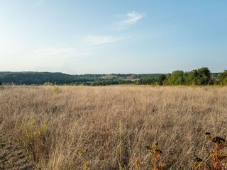 Villa Saint-Antoine-de-Breuilh Environnement 34