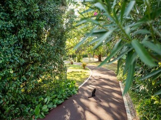 Villa Saint-Antoine-de-Breuilh Registrazione all'aperto 8