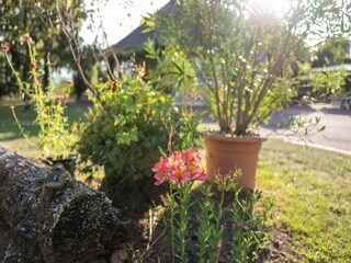 Villa Saint-Antoine-de-Breuilh  39