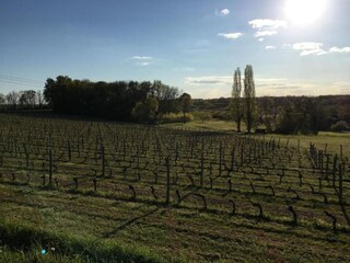 Villa Saint-Antoine-de-Breuilh Environnement 26