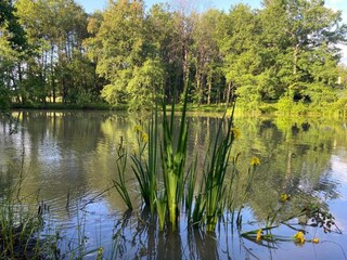 Villa Saint-Antoine-de-Breuilh Omgeving 30