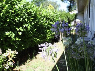 Maison de vacances Lège-Cap-Ferret Enregistrement extérieur 2