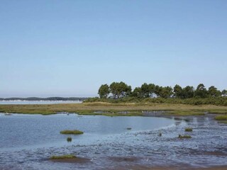 Vakantiehuis Lège-Cap-Ferret Omgeving 26