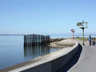 Vakantiehuis Lège-Cap-Ferret Omgeving 28