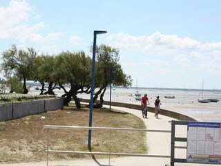 Maison de vacances Lège-Cap-Ferret Environnement 20