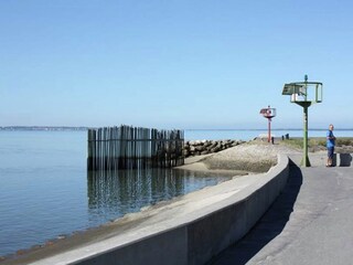 Vakantiehuis Lège-Cap-Ferret Omgeving 21