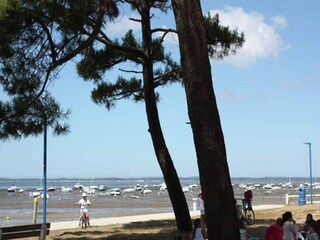 Maison de vacances Lège-Cap-Ferret Environnement 24