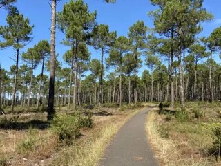 Villa Callian Entorno 40