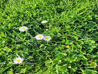 Villa Callian Ambiente 33