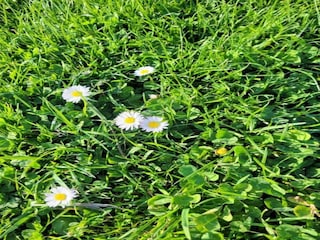 Villa Callian Environnement 33