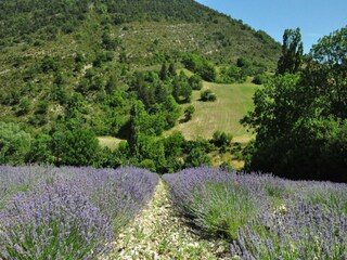 Villa Malaucène Environnement 36