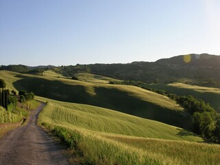 Vakantiehuis Chianni Omgeving 39