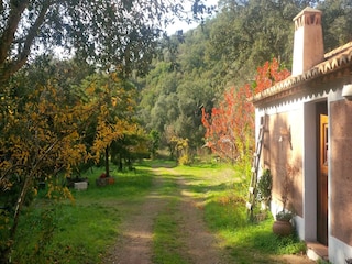 Holiday cottage Odemira Outdoor Recording 5